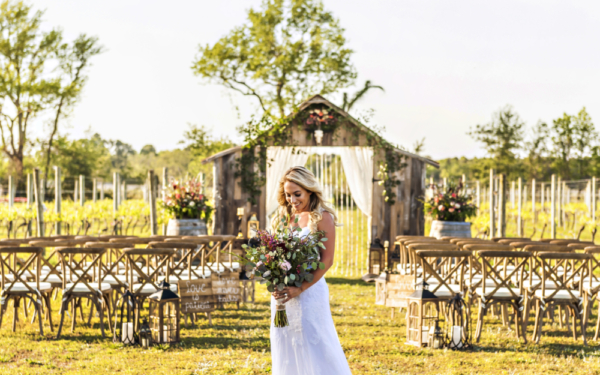 Sanctuary_Vineyards